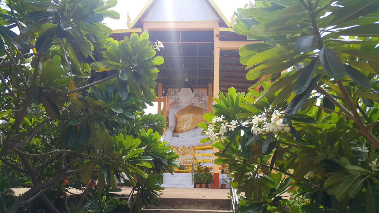 Бэкпекер, бекпекер, бекпекинг, бэкпекинг, backpacker, backpacking, аюттая аютхая, ayutthaya