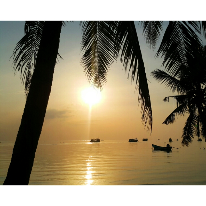 PhotoGrid 1471516289994