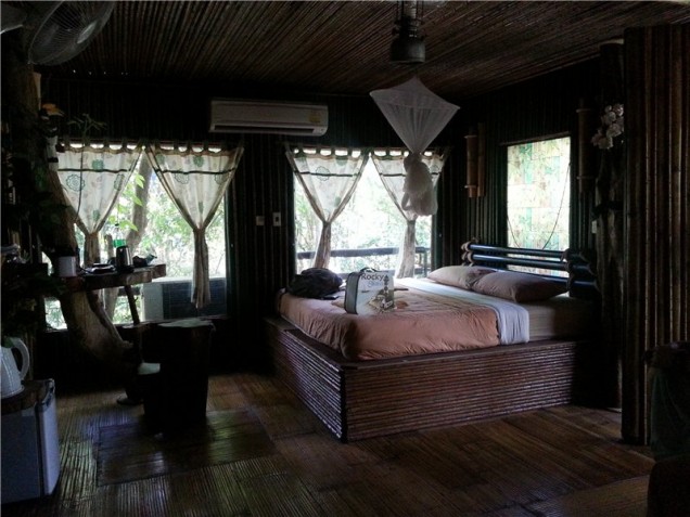 Khao Sok Tree House Resort - thailand